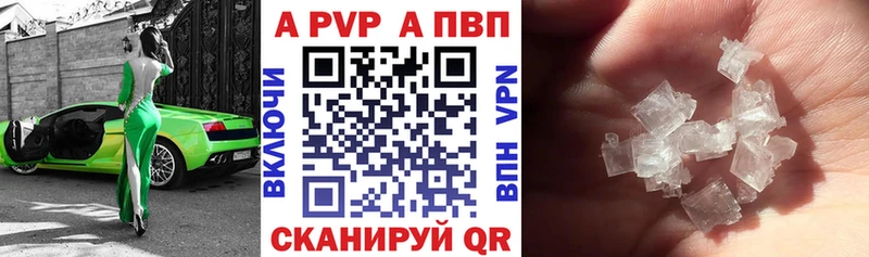 A PVP СК КРИС  Луга 