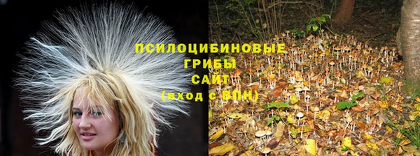 спиды Абдулино