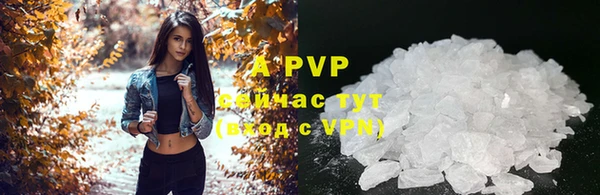 a pvp Абаза